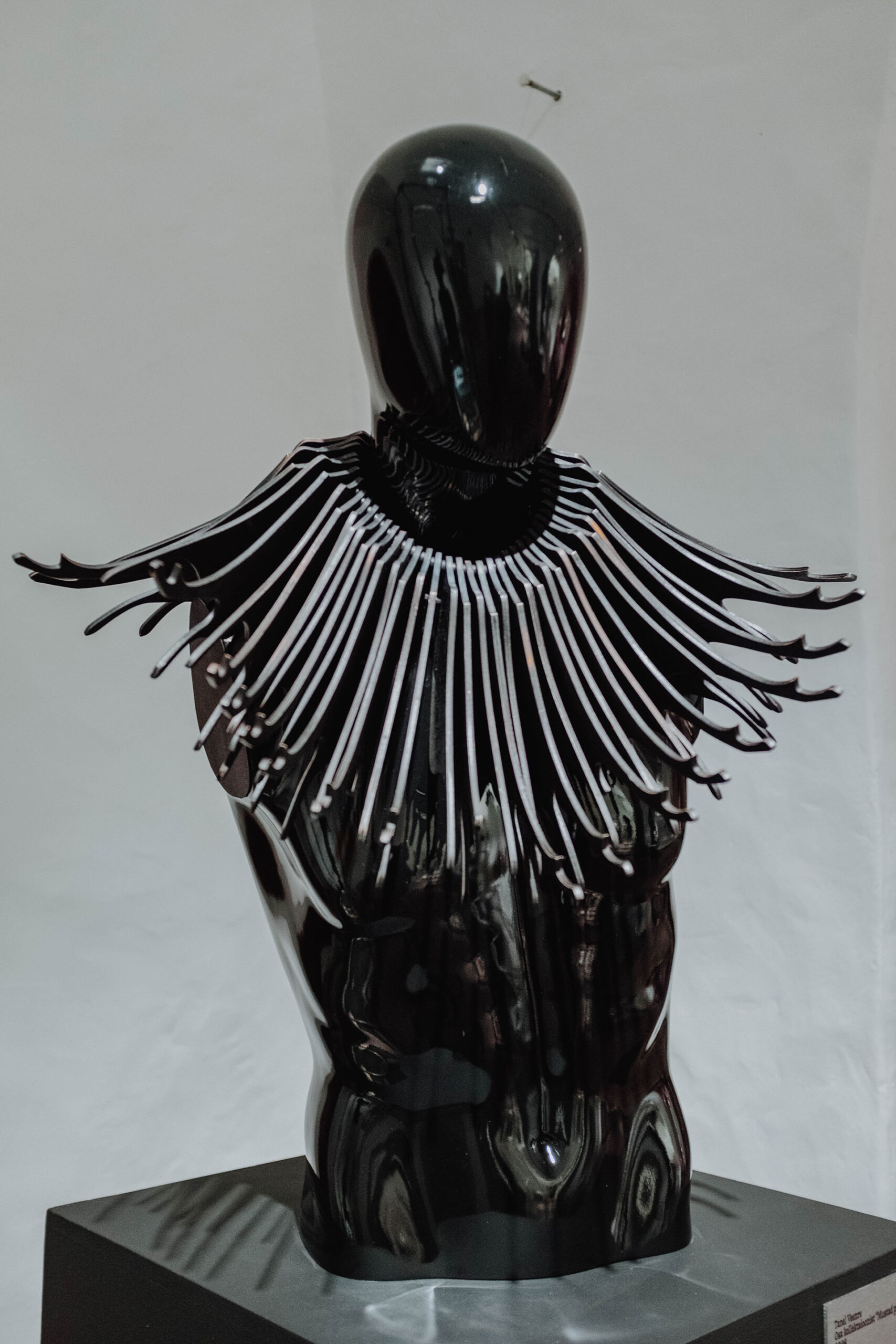 Танель Веэнре, коллекция "Черные принцы"